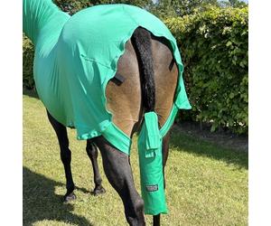Supreme Product Horse Body Wrap 13.2hh Emerald