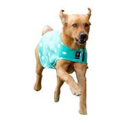 Supreme Products Dotty Fleece Dog Coat Green (Xxl-76Cm)