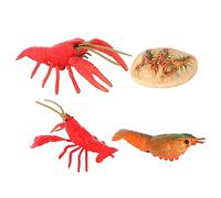 SUPVOX 1 Set Model Shrimp Funny Crayfish Animals Statues Model Crayfish Animal Evolution Models Cognitive Crayfish Cycle Cycle Plaything Plastic Red
