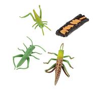 SUPVOX 1 Set Simulation Growth Cycle Model Educational for Insect Life Cycle Cognitive Models Kit for Home Office and Teaching Decor