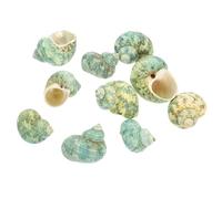 SUPVOX 10Pcs Natural Conch Shell Aquarium Decorations Sturdy Fish Tank Props for Crab Habitat Safe for Aquatic Animals Water Tank Decor for Beautiful Landscapes