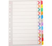 SUPVOX 12-tab A4 Binder Dividers with 11-Hole Colorful Index Sheets, Plastic Notebook Index Tabs for Office Filing and School Organization, 12-Page Numbered Divider Set