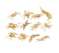 SUPVOX 12pcs Insect Life Cycle Figurines Miniature Insects Toys Realistic for Educational Learning Cognitive Development