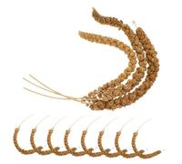 SUPVOX 180g Natural Dried Millet Bird Food for Parrots Cockatiels Parakeets Healthy Bird Treats Cage Accessories