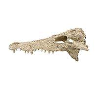 SUPVOX 1pc Skull Fish Tank Decor Micro Landscape Craft Realistic Resin Reptile Accessory Random Color