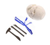 SUPVOX 1set Dinosaur Bone Model Toy Interactive Boys and Girls Toy Educational Learning for Boys and Girls