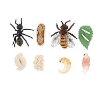SUPVOX 2 Sets Bee and Ant Growth Cycle Models Simulation Educational for Smooth Surface Biology Learning Ornaments for Boys and Easy to Clean Miniature Growth Models