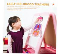 SUPVOX 2 Sets DIY Human Organs Model Educational for Learning Teaching Aid School Science Tools for Cognitive Development and Anatomy Recognition