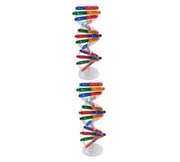 SUPVOX 2 Sets Interactive Dna Model Kit for Educational Scientific Learning Self Assembling Double Helix Structure Middle School Biology Teaching Aid with Color Coded Bases Random Color