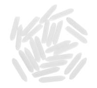 SUPVOX 20pcs 4.5mm Polyester Replacement Tips for Paint Markers Permanent Marker Nibs Compatible with Painting Pens for Fine Art and Craft Use