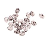 SUPVOX 20pcs Mini Quail Egg Figurines Plastic Micro Landscape Decorations DIY Craft Accessories Realistic Small Egg Statues for Home Garden Tabletop