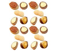SUPVOX 20pcs Simulation Nuts Miniature Resin Craft Food Decor Realistic Pretend Play Props with Bright Colors Smooth Texture for Dollhouse Accessories and DIY Projects