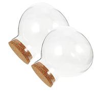 SUPVOX 2pcs Clear Glass Spherical Terrarium Bottles with Cork Stoppers Reusable Micro Landscape Jars for Plant Display DIY Ecosystem Storage Elegant Home Decor