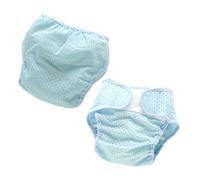SUPVOX 2pcs Cool Diapers Polyester Mesh Diaper Reusable Washable Nappy Pads for Newborns Breathable Underwear for Potty Training for Months