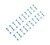 SUPVOX 2pcs Dna Double Helix Display Prop Educational Model Kit for School Science Teaching Biology Genetics Study Tool