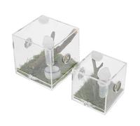 SUPVOX 2pcs Jumping Spider Breeding Box Acrylic Habitat Feeding Case Spider Enclosure for Florida Jumping Moisture