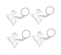 SUPVOX 4pcs Dog Hair Keepsake Keychain Transparent Pet Hair Memorial Storage Box Elegant Bag Charms for Cherished Memories Convenient Accessory for