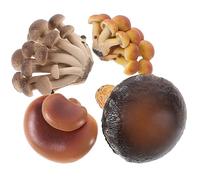 SUPVOX 4pcs Mushroom Growth Cycle Simulation Models for Boys and Girls Educational Early Learning Toys Material Safe Easy to Clean for Teaching Biological Knowledge and Nature