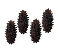 SUPVOX 4pcs Realistic Mini Sea Cucumber Models Trepang Decor Lifelike Seafood Display Props Educational Science Playthings for Photo Teaching Window Display