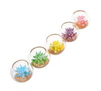 SUPVOX 5pcs Miniature Artificial Succulent Plants for Dollhouse Decoration Tiny Glass Planters in Red Yellow Green Green Blue Purple for Fairy Garden Crafting and Mini Scene Creation
