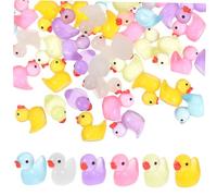 SUPVOX 60Pcs Mini Glow Dark Resin Ducks for Micro Landscape Tiny Desk Decor DIY Bonsai Garden Ornaments for Indoor and Outdoor Use