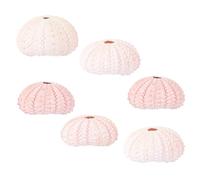 SUPVOX 6pcs Creative Conch Shell Pot for Air Plant Holder, Shell Planter