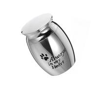 SUPVOX 6pcs Stainless Steel Pet Cinerary Jar Memorial Ashes Holder Urn for Pets Smooth Polished Design Commemorative Casket Loss and Bereavement