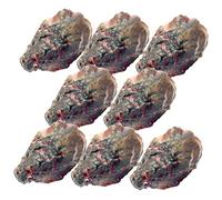 SUPVOX 8 pcs Artificial Oyster Models Lifelike Fake Seafood Display Props High Grade PVC Simulation for Photo Shoot Food Presentation and Store Decoration