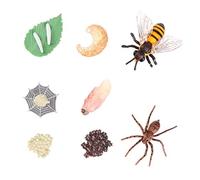 SUPVOX 8Pcs Creative Animal Growth Model Bee Spider Life Cycle Simulation for Educational Figurines for Home Decoration Natural Science Learning