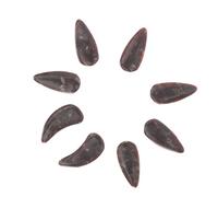 SUPVOX 8Pcs Guzheng Practice Fake Nails for Adults Large Moon Shadow Color Durable Smooth Finger Protectors for Guzheng Picks Instrument Nails Easy to Clean and Carry