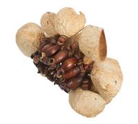 SUPVOX African Tribal Nut Shell Shaker Bracelet Handcrafted Handbell Percussion Instrument for Men Women Portable Wristband Musical Accessory for Dance Party and Outdoor Rhythm Sessions