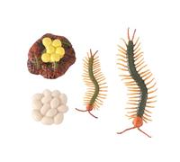 SUPVOX Centipede Growth Cycle Model Educational Insect Figurine Simulation Set for Learning Biology Nature Display and Desktop Decoration