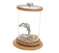 SUPVOX Desktop Decorative Aquarium Tank with Led Light, Tempered Glass Mini Fish Bowl Ecosystem Bottle for Office and Home Display