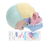 SUPVOX Detachable Human Skull Model Plastic Anatomy Skeleton Teaching Tool Palm Sized Stem Assembly Skull for Medical Art Students Educational Head Skeleton
