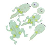 SUPVOX Detailed Frog Growth Cycle Model Educational Biology Learning Kit for Students Preschool Science Experiment Enhancing Cognitive Skills and Manual Dexterity
