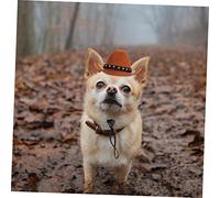 SUPVOX Dog Hat Star Pattern Cowboy Hat Velvet Band Small Size for Party and Outdoor Wear