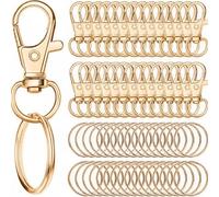 60pcs Hardware Bag Buckle Metal Key Rings DIY Keychain Accessories Zinc Alloy Keyring Buckle (Circle+Buckle 30pcs each)