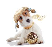 SUPVOX Dog Wig Puppy Wig Pet Hair Accessories for Dog Thinning Scissors Grooming Cute Party Dress up