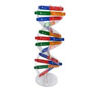 SUPVOX Double Helix Dna Model Science Educational Instrument DIY Assembly for Boys Middle School Nursing Medical Teaching Aid Random Color