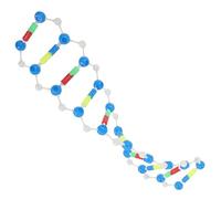 SUPVOX Double Helix Dna Model Self Assembling Educational Instrument for Classroom Teaching Biology Science Learning Tool for Students