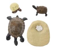 SUPVOX Educational Tortoise Growth Cycle Models for Early Learning Teaching Aids Realistic Life Stage Playthings for Cognitive Development and Science Exploration