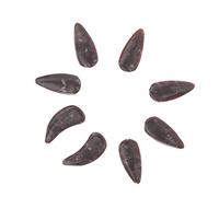 Supvox Guzheng Nails Artificial Practice Nails, Pack of 8, Moonshadow, Size L, Lightweight, Protects Fingers from Injury, Practical Finger Picks for Adults, Zither Instrument Accessories