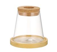 SUPVOX Hydroponic Plant Vase Elegant Glass Planter for Indoor Gardening Compact Desktop Propagation Holder Versatile Hydroponics Vase for Various Plants Space Saving Design for Home