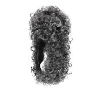 SUPVOX Judge Colonial Wig for Men Grey Historical Lawyer Costume Wig for Cosplay Parties Lightweight and Comfortable for Balls and Events