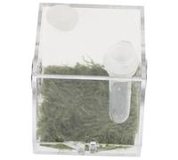 SUPVOX Jumping Spider Breeding Box Insect Habitat for Acrylic Enclosure Reptile Small View for Spider Care and Feeding Box Scenario