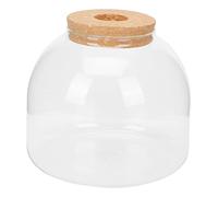 SUPVOX Microlandscape Container Glass Ecological Bottle with Cork Durable Clear Simple Bottle for DIY Micro Plants Terrarium Home Office Desk Decoration and Handmade Gift