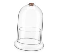 SUPVOX Moss Preserved Flower Glass Dome Terrarium Kit with Plant Jar for Home Office Present