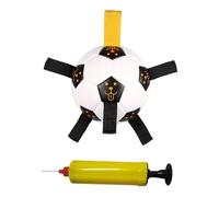 SUPVOX Outdoor Puppy Soccer Ball with Pump Interactive Pet Training Molar for Stress Relief Tugging Biting and Healthy Teeth Chewing
