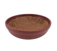 SUPVOX Pigeon Nest Set 5pcs with Brown Cushion Pads Imitation Purple Clay Egg Bowl Coir Breeding Nest Mat for Homing and Pet Pigeons Bird Cage Accessories for Supplies