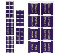 SUPVOX Pu Leather Bible Index Tabs Set, 66 Purple Pre-Printed + 14 Blank Tabs for Bible Study, Page Markers and Book Labels for Christian Readers and Office Use